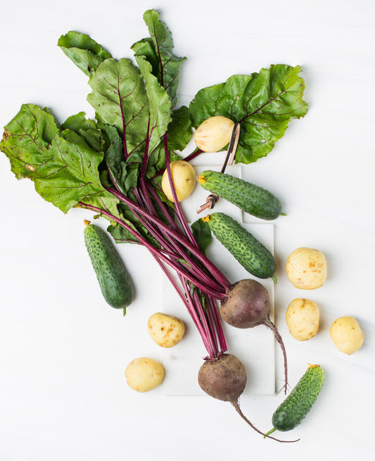 Borscht Beet Soup