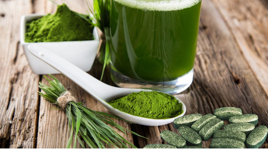 Why Start Taking Aloe Life Daily Greens Today!